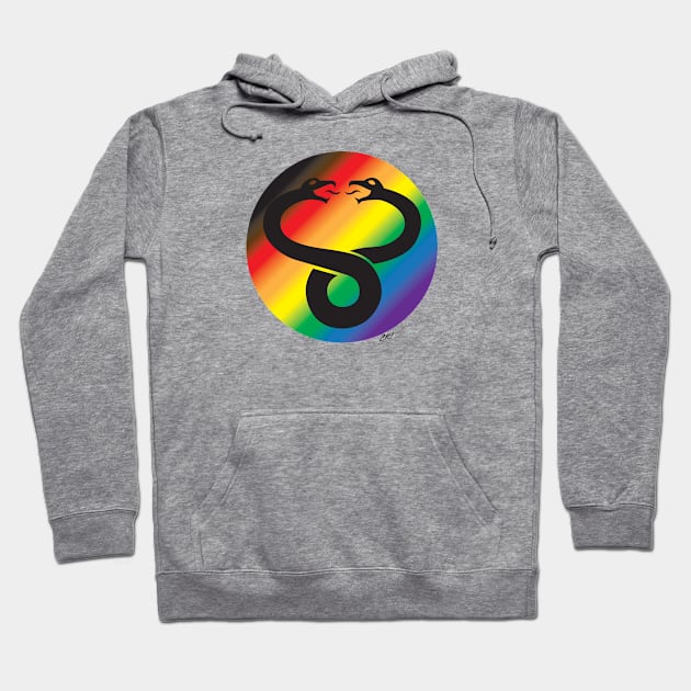 Evil Spirits Shiel (Gay PrideFlag) Hoodie by CKline